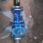 20230601_184409_optimized